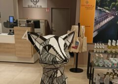 Galeria jetzt mit Fuchs