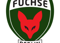 Füchse und GALERIA